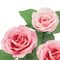 Pink Rose Bush by Ashland&#xAE;